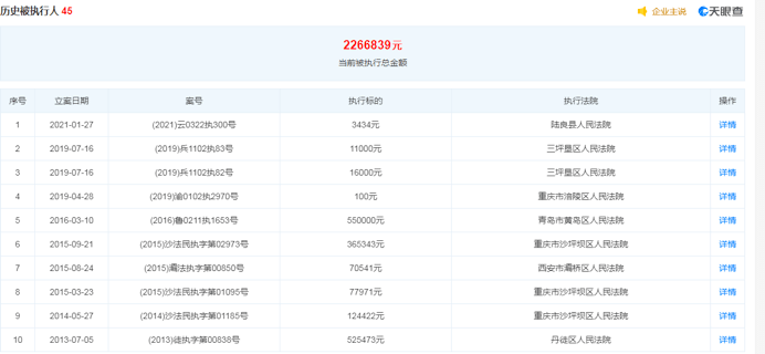 2024新奥资料免费精准109,详情执行数据安援_LTR77.700演讲版