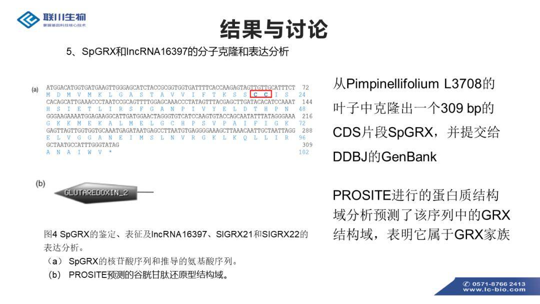 新奥最精准免费资料大全,标准执行具体评价_NHV77.495影视版