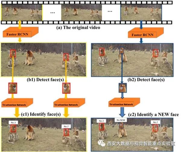 2024澳门正版跑狗图,系统评估分析_MTO77.926私人版