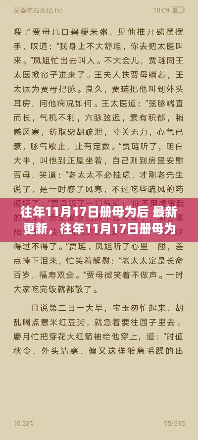 往年11月17日册母为后，全面评测与深度解析的最新更新