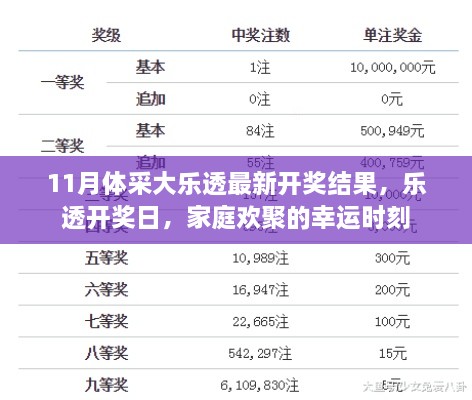 11月体采大乐透最新开奖结果，家庭欢聚的幸运时刻