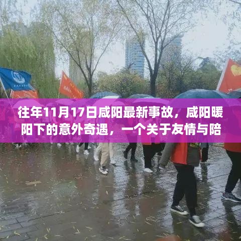 咸阳暖阳下的意外奇遇，友情与陪伴的温馨故事在事故中显现真情。