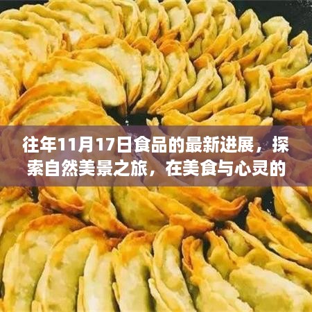 美食与自然之旅，探寻心灵平静与喜悦的双重盛宴（历年11月17日食品最新进展）