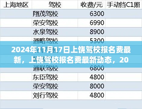 2024年11月17日上饶驾校报名费最新动态与观察思考