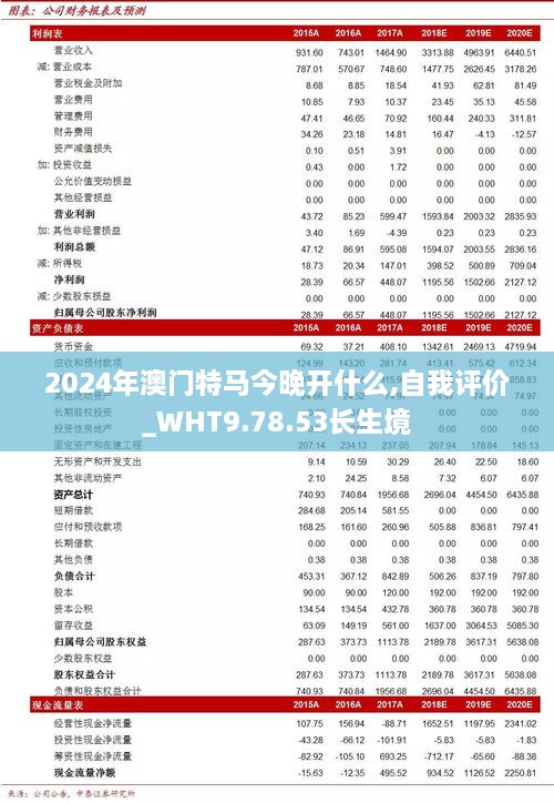 2024年澳门特马今晚开什么,自我评价_WHT9.78.53长生境