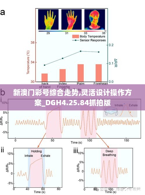 新澳门彩号综合走势,灵活设计操作方案_DGH4.25.84抓拍版