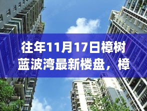 樟树蓝波湾楼盘的温馨故事，友情与家的美好日常（往年11月17日最新资讯）