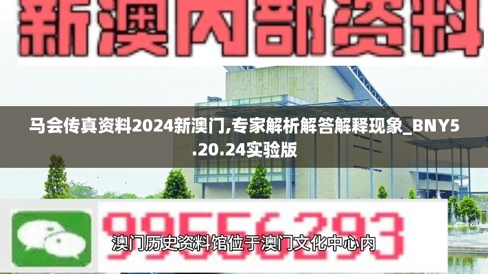 马会传真资料2024新澳门,专家解析解答解释现象_BNY5.20.24实验版