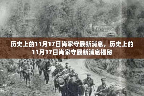 揭秘，历史上的肖家守最新消息回顾与揭秘（11月17日）