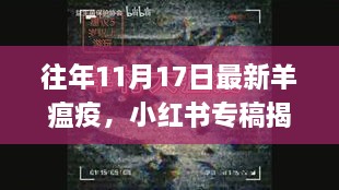 小红书揭秘，往年11月17日羊瘟疫最新动态及应对策略全解析