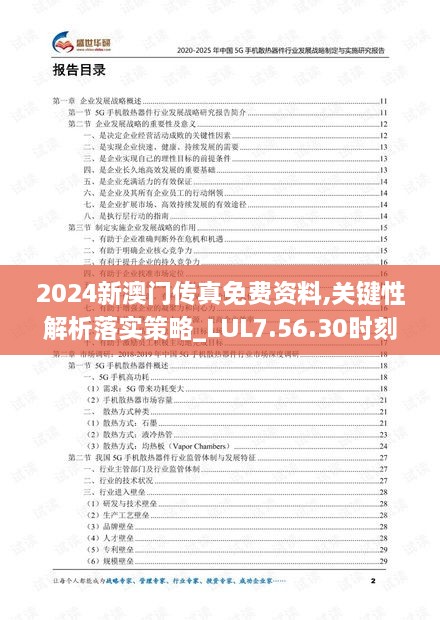 2024新澳门传真免费资料,关键性解析落实策略_LUL7.56.30时刻版