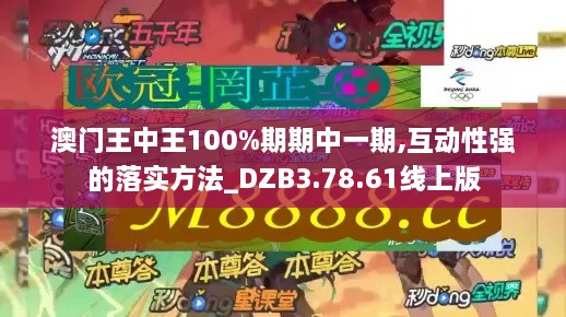 澳门王中王100%期期中一期,互动性强的落实方法_DZB3.78.61线上版