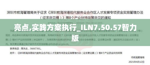 亮点,实践方案执行_ILN7.50.57智力版