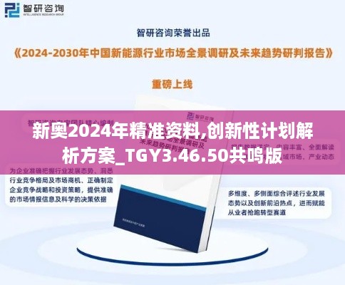 新奥2024年精准资料,创新性计划解析方案_TGY3.46.50共鸣版