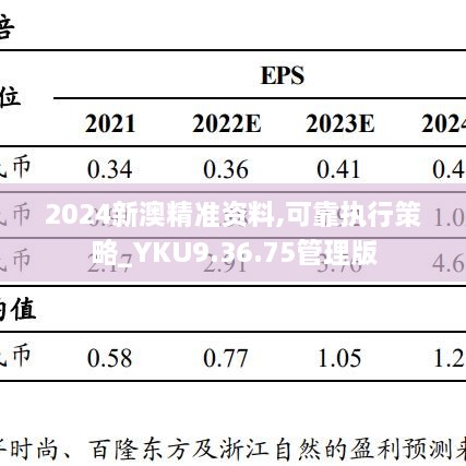 2024新澳精准资料,可靠执行策略_YKU9.36.75管理版