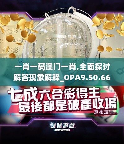 一肖一码澳门一肖,全面探讨解答现象解释_OPA9.50.66试点版