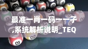 最准一肖一码一一孑,系统解析说明_TEQ4.72.69快捷版