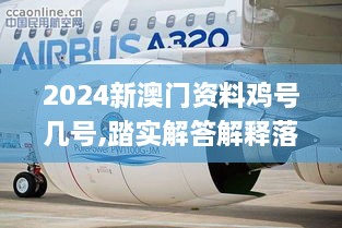 2024新澳门资料鸡号几号,踏实解答解释落实_ZAX2.28.27豪华款