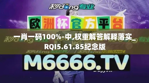 一肖一码100%-中,权重解答解释落实_RQI5.61.85纪念版