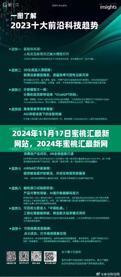 2024年蜜桃汇最新网站上线，数字时代的创新与机遇探寻