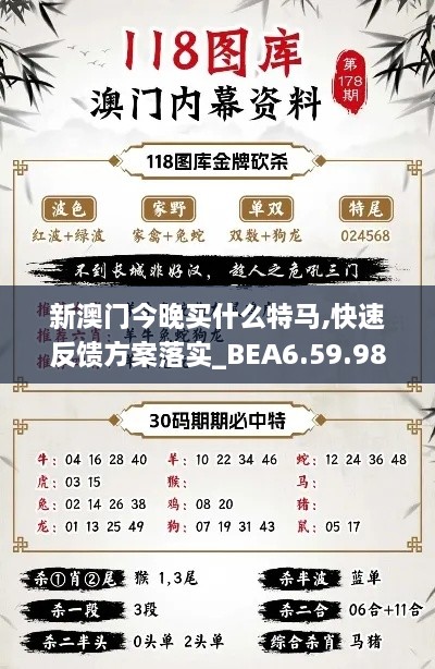 新澳门今晚买什么特马,快速反馈方案落实_BEA6.59.98响应版