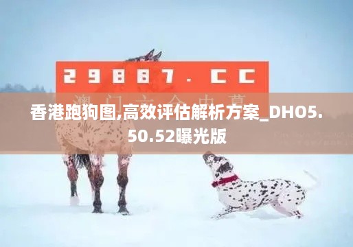 香港跑狗图,高效评估解析方案_DHO5.50.52曝光版