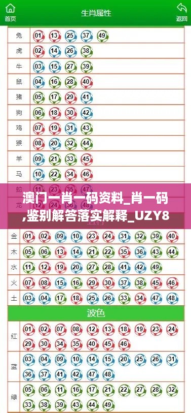 澳门一肖一码资料_肖一码,鉴别解答落实解释_UZY8.28.24驱动版