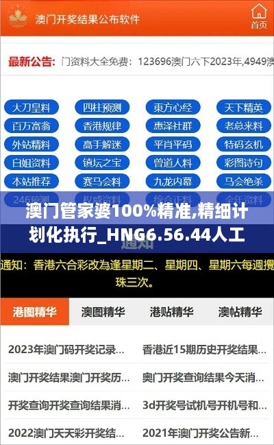 澳门管家婆100%精准,精细计划化执行_HNG6.56.44人工智能版