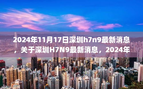 2024年11月深圳H7N9最新消息，健康防护与应对步骤指南