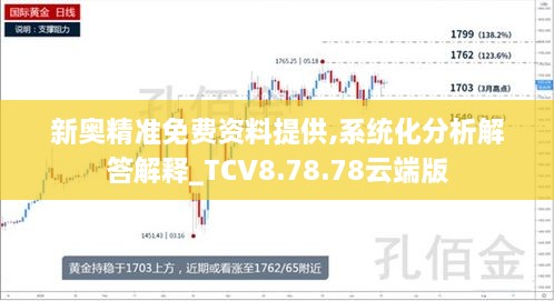 新奥精准免费资料提供,系统化分析解答解释_TCV8.78.78云端版