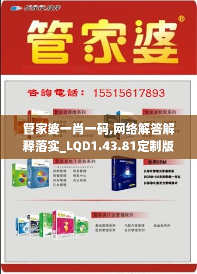 管家婆一肖一码,网络解答解释落实_LQD1.43.81定制版