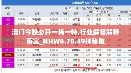 澳门今晚必开一肖一特,行业解答解释落实_NHW8.78.49神秘版