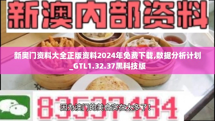 新奥门资料大全正版资料2024年免费下载,数据分析计划_GTL1.32.37黑科技版