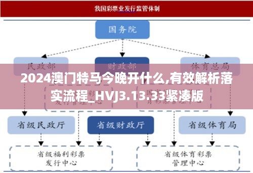 2024澳门特马今晚开什么,有效解析落实流程_HVJ3.13.33紧凑版