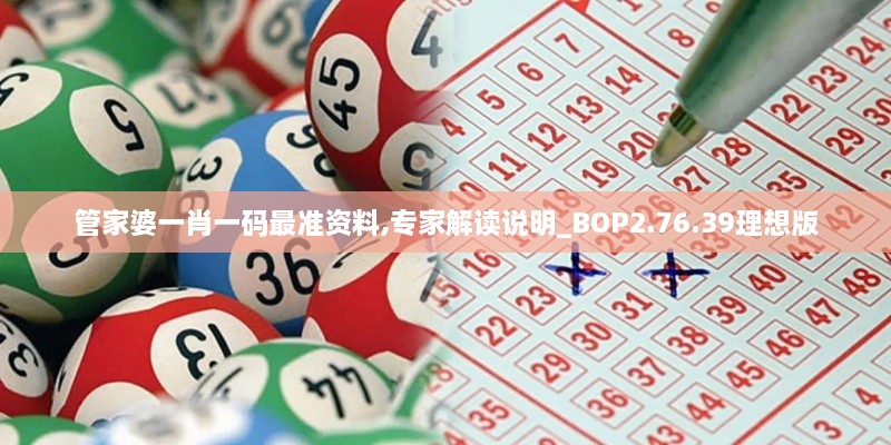 管家婆一肖一码最准资料,专家解读说明_BOP2.76.39理想版