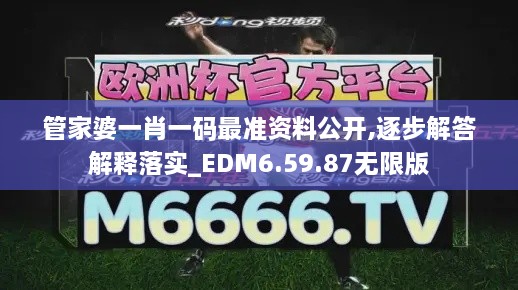 管家婆一肖一码最准资料公开,逐步解答解释落实_EDM6.59.87无限版