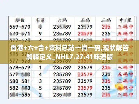 香港+六+合+资料总站一肖一码,现状解答解释定义_NHL7.27.41味道版