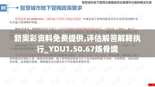 新奥彩资料免费提供,评估解答解释执行_YDU1.50.67炼骨境