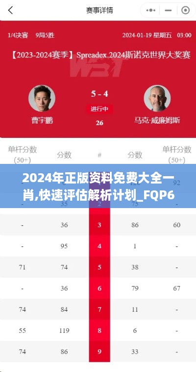 2024年正版资料免费大全一肖,快速评估解析计划_FQP6.53.64清晰版