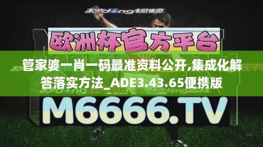 管家婆一肖一码最准资料公开,集成化解答落实方法_ADE3.43.65便携版