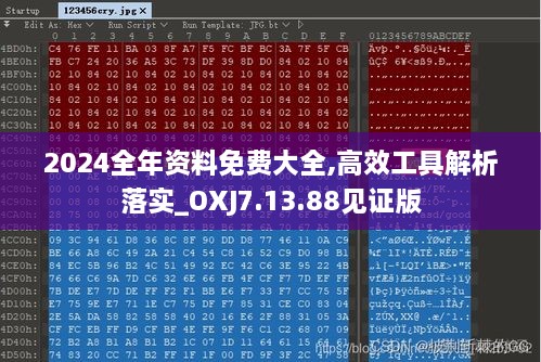 2024全年资料免费大全,高效工具解析落实_OXJ7.13.88见证版