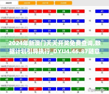 2024年新澳门天天开奖免费查询,数据计划引导执行_DYU4.46.87随意版