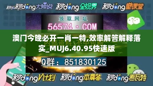 澳门今晚必开一肖一特,效率解答解释落实_MUJ6.40.95快速版