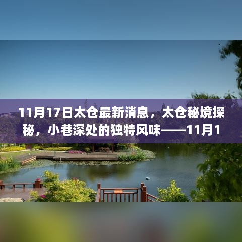 11月17日太仓最新发现之旅，探秘小巷深处的独特风味