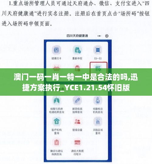 澳门一码一肖一特一中是合法的吗,迅捷方案执行_YCE1.21.54怀旧版