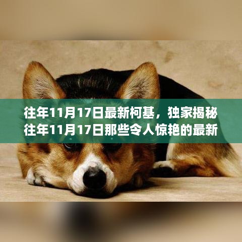 客户案例 第266页