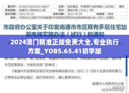 2024澳门精准正版免费大全,专业执行方案_YOB5.65.41初学版