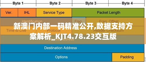 新澳门内部一码精准公开,数据支持方案解析_KJT4.78.23交互版