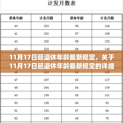 11月17日延退休年龄最新规定详解及步骤指南