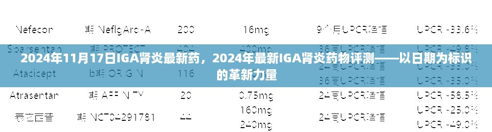 革新力量，以日期为标识的IGA肾炎新药评测报告